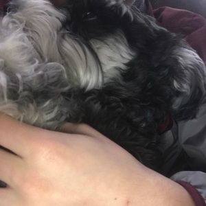 Meet your Posher, Fisher